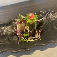 鮨 やまけん 銀座店 - 