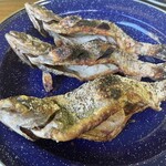 トラウトファーム秋川 - 