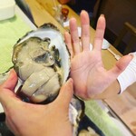 Rock oysters from Tokushima