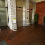 Yokohama Kappou Shisei - エレベーター