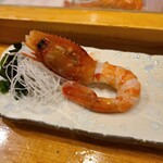 Sushi Dokoro Tatsutoshi - ボタンエビ