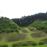 Yamanakajou Annaijo Baiten - 山中城址の堀