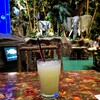 Rainforest cafe - 