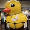 フルーツらいふ - 
