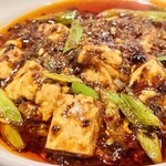 Sichuan mapo tofu