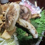 御料理 タイガー - 超特大のマツタケ