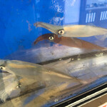 函館朝市 どんぶり横丁市場 - 