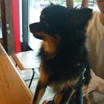 MOKICHI FOODSGARDEN - 思慮深げかあんずさん。
      