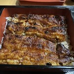 鳥常本店 - 特上うな重