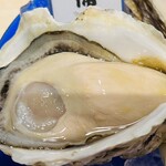 MICHI FISH&OYSTER - 大浦（長崎） 岩牡蠣