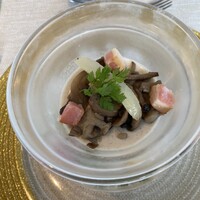 サンシャイン クルーズ・クルーズ - 