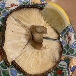 れいせん町悟くう - 