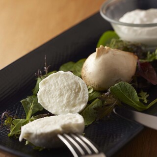 Fresh mozzarella cheese delivered by refrigerated airlift from Italy