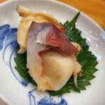 Matsuzushi - 