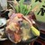 ダイニングステージ 佐海屋 - 料理写真: