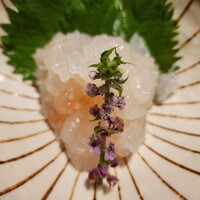 いせもん本店 - アップ