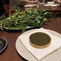 スガラボヴィー - 