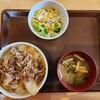 Sukiya - 牛丼ランチセット並盛り(550円)です。