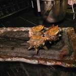 ニンジャ トウキョウ - 