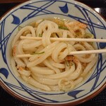 Marugame Seimen - かけうどん（温：並）390円　麺アップ