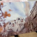 ティールーム 花 - 