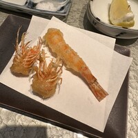 天冨良 よこ田 - 
