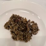 アマ・ルール - 