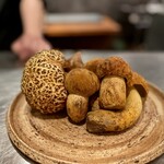 イル アオヤマ - 