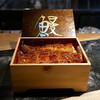 Unagi Shien - 