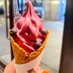 トシ・ヨロイヅカ 東京 - 