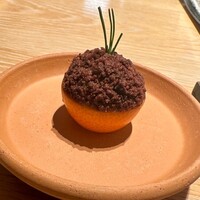 マンサルヴァ - 