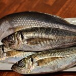 炭火と日本酒 ちょいちょい - 