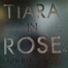 TIARA IN ROSE