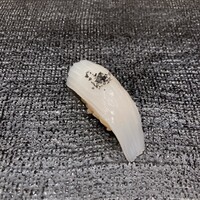 名古屋 栄 鮨 栄華 - 