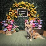 レジーナリゾート旧軽井沢 - 