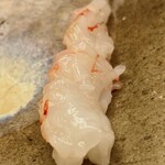 鮨おばな - 超特大ボタン海老