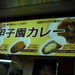 阪神甲子園球場 - カレーの売り場はどこの席でもあります