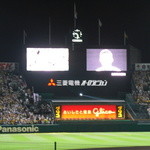 阪神甲子園球場 - 