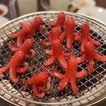 ホルモン本舗 新橋店 - 