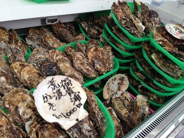 かき小屋　渡波（わたのは） - 渡波（かき）の写真