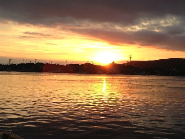 かき小屋　渡波（わたのは） - 渡波（かき）の写真