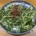 Taishuusakaba Sakamoto Shouten - 豆苗の炒め物