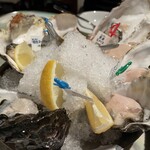 Oyster Bar ジャックポット - 