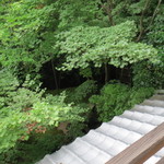 旅亭半水廬 - 1階の窓からの景色