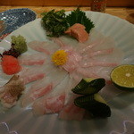 ビストロ割烹 YAOYA - クエのお造り