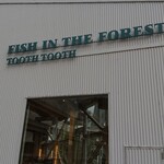 TOOTH TOOTH FISH IN THE FOREST - 