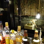 タケル クインディチ - 坪庭の侘び寂びのある風景