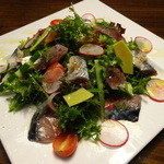 タケル クインディチ - 真あじ・さば・さんまのカルパッチョサラダ