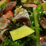 タケル クインディチ - あじ・さば・さんまのカルパッチョアップ