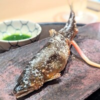 新ばし 星野 - 